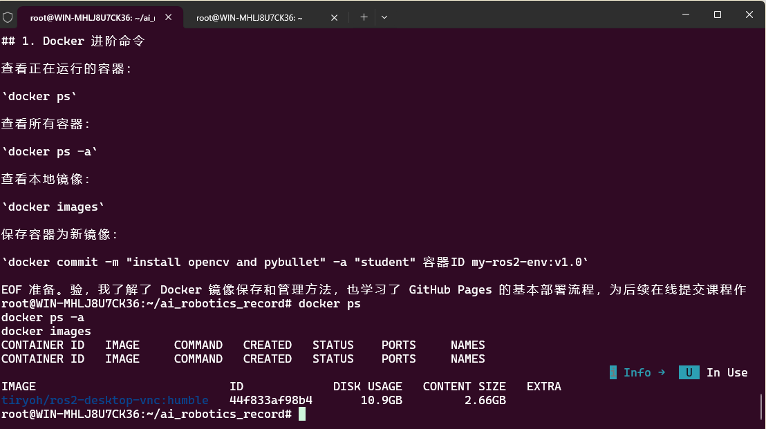 Docker进阶命令